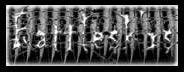 Battlesk'rs